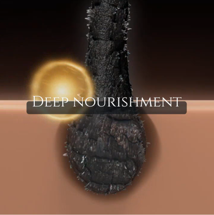 Image of hair root receiving deep nourishment.